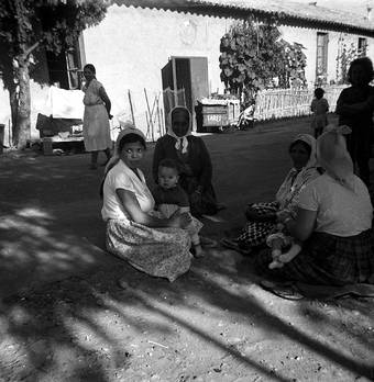 Bias : Familles de Harkis