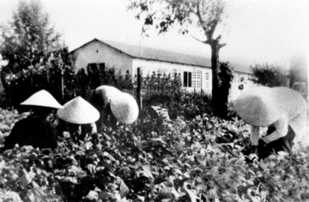 Travail aux champs devant le CAFI